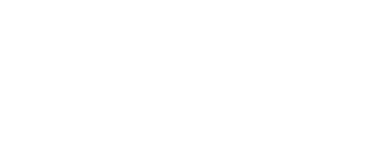 Wedelo Limited Logo